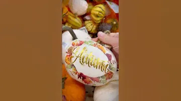 Декоративные тыквы  🎃 Что берём?😉