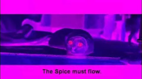 EON- The Spice Must Flow 1991