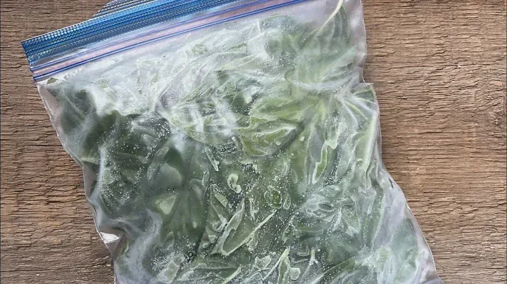 The easiest, fastest, best way to FREEZE BASIL!