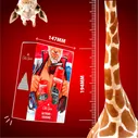 Подарочный набор Old Spice Wolfthorn Дезодорант 50мл + Гель для душа Capitan 250мл в ассортименте