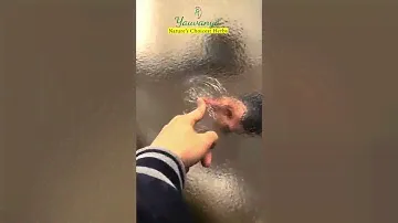 Garlic Powder