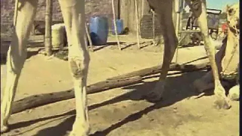 OLD SPICE KILIMANJARO - CAMEL (DIRECTOR CUT)