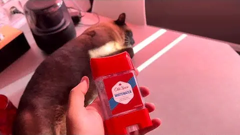 Одесса 14 октября 2022. Куда делись гелевые дезодоранты Old Spice?