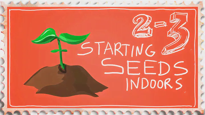 How to Start Seeds Indoors Successfully