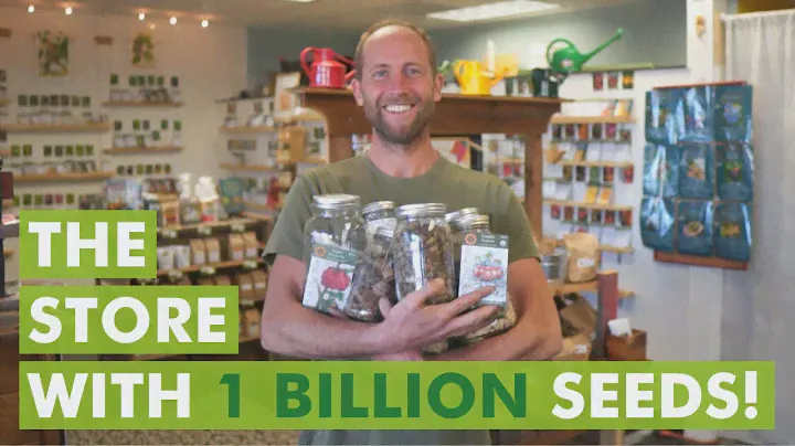 This Tiny Little Store Has 1 Billion Seeds Inside!
