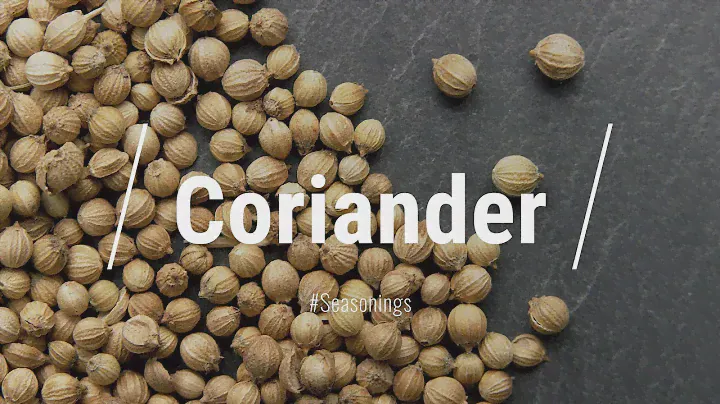 🔵 All About Coriander Seed