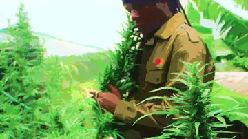 I use the Herbs - Richie Spice