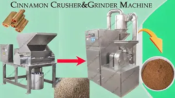 Cinnamon Grinding Machine┃Cassia spices powder pulverizer mill with dust collector┃producing powder┃