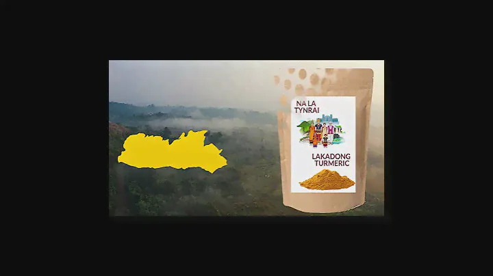 Lakadong Turmeric