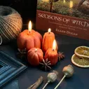 Набор восковых свечей тыковок "Pumpkin Spice"
